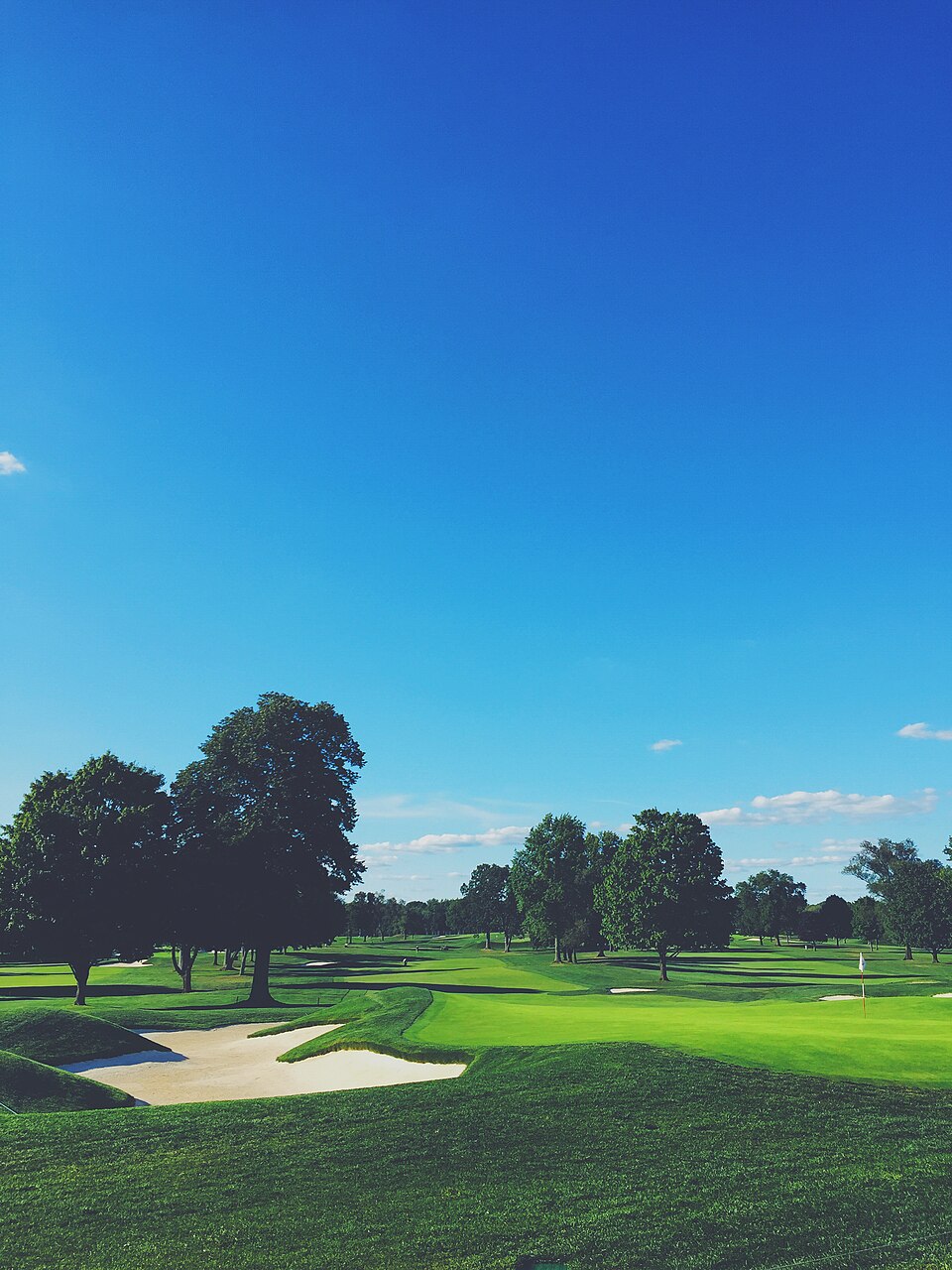 A green and sand bunker framed by trees at Winged Foot Golf Club